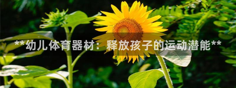 极悦平台是干什么的公司：**幼儿体育器材：释放孩子的