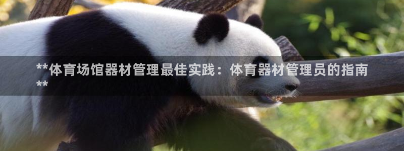 极悦平台注册用户名生成器是什么：**体育场馆器材管理最佳实践