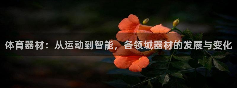 极悦平台注册流程：体育器材：从运动到智能，各领域器材的发展与