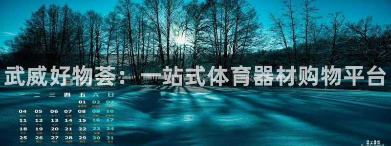 极悦平台官网登录网址是什么：武威好物荟：一站式体育器