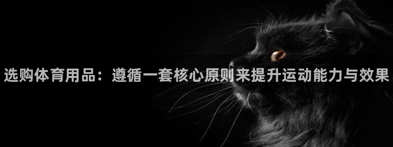 极悦娱乐官网入口网址：选购体育用品：遵循一套核心原则来提升运