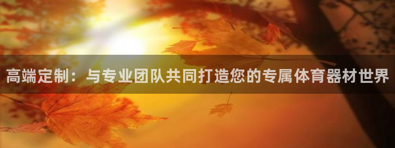 极悦平台官网登录入口网址是多少：高端定制：与专业团队共同打造