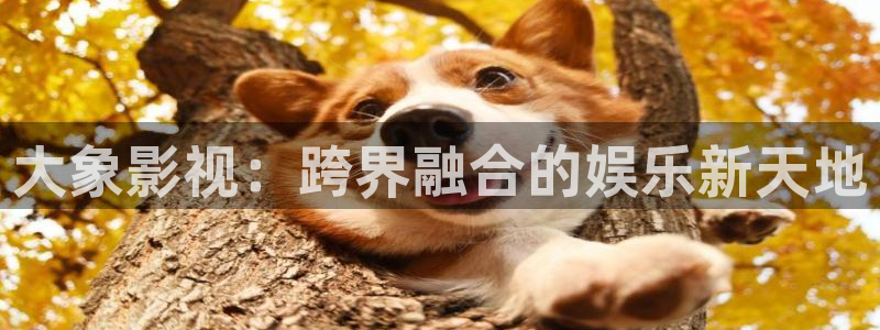 奇奇电影：大象影视：跨界融合的娱乐新天地