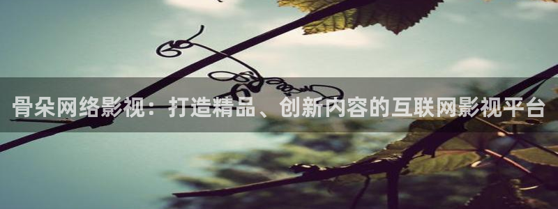奇奇米影视第四色：骨朵网络影视：打造精品、创新内容的互联网影视平台