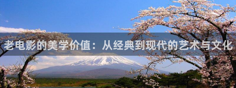 奇奇网影院：老电影的美学价值：从经典到现代的艺术与文化