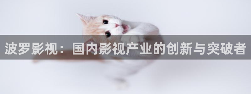 米奇奇米影视：波罗影视：国内影视产业的创新与突破者
