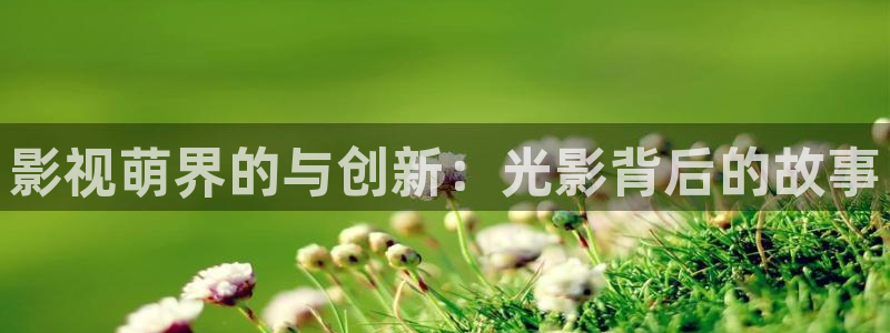 777米奇奇米影视四色官网：影视萌界的与创新：光影背后的故事